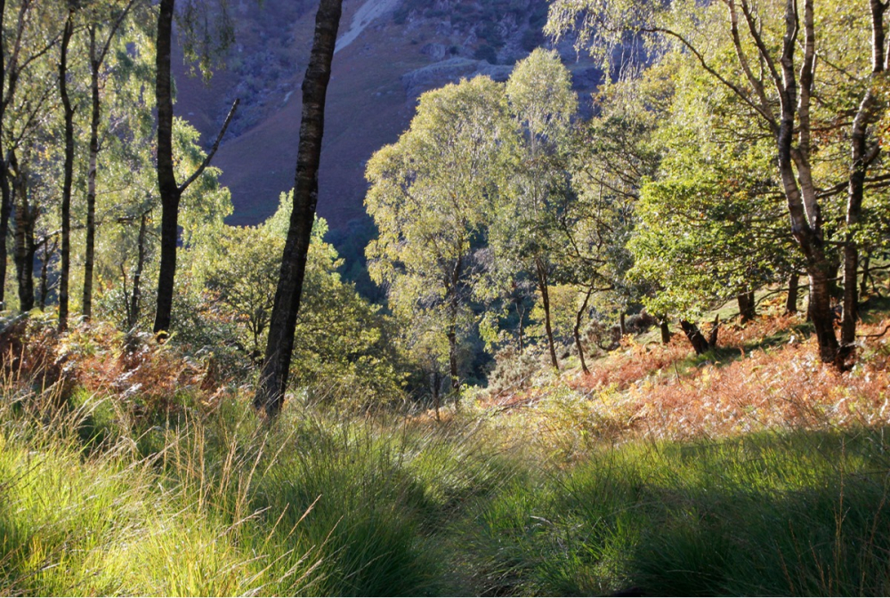 Borrowdale Glow